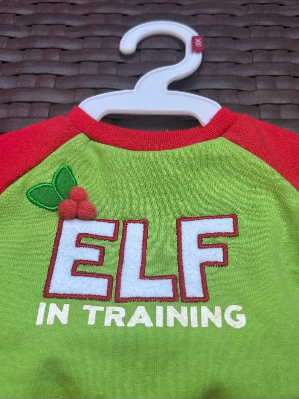 Pet Tee /Martha Stewart- Bright Green and Red - XS - New w/Tags